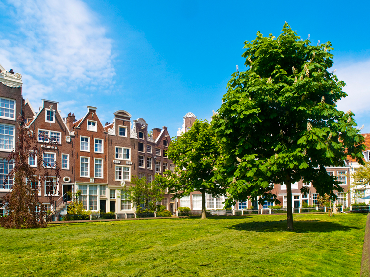Courtyards in Amsterdam