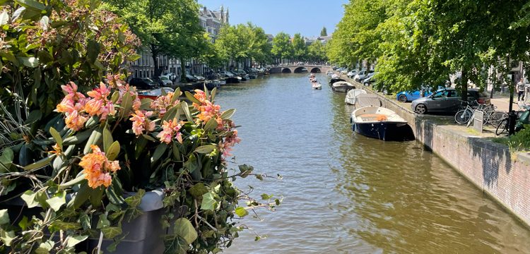 Learn essentials Dutch Words and Phrases before your City Trip