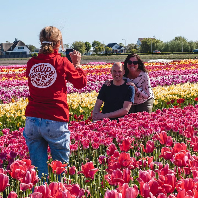 Visit Tulip Experience Amsterdam 