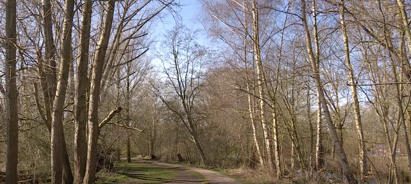 The unexpected green haven of Flevopark in Amsterdam