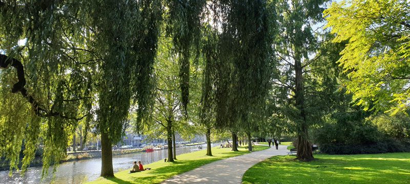 Planning a picnic in Amsterdam? These are the best parks
